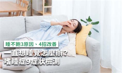 老是想睡覺|一直想睡覺的原因是什麼？一文詳解9大原因、7種穴道、5類食物。